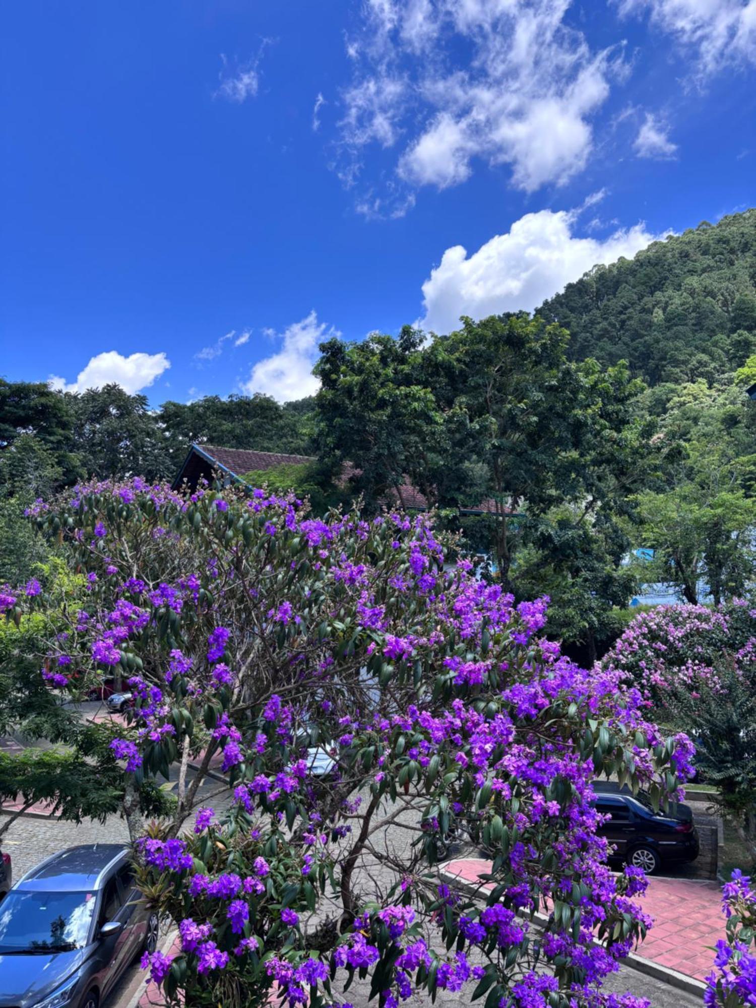 Refugio Na Serra Condominio Em Olaria, Nova Friburgo-Rj Extérieur photo